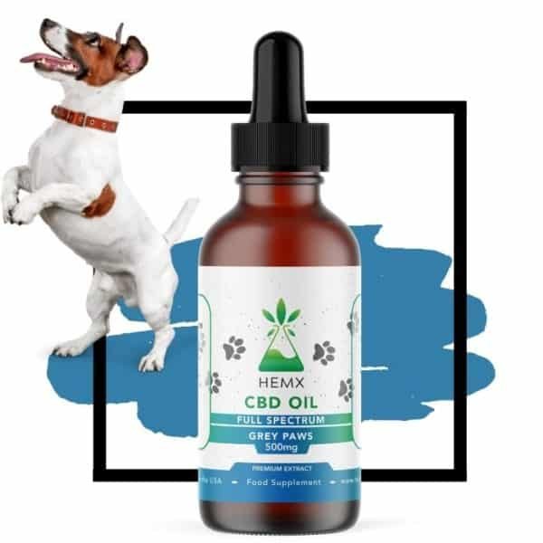 Full Spectrum CBD Oil for Dogs UK Amazing Results Organic Natural