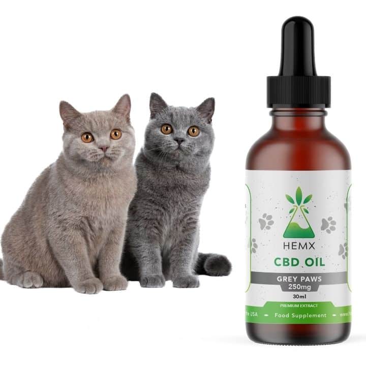 CBD Oil for Cats Amazing Results Help Your Furry Friend Natural!
