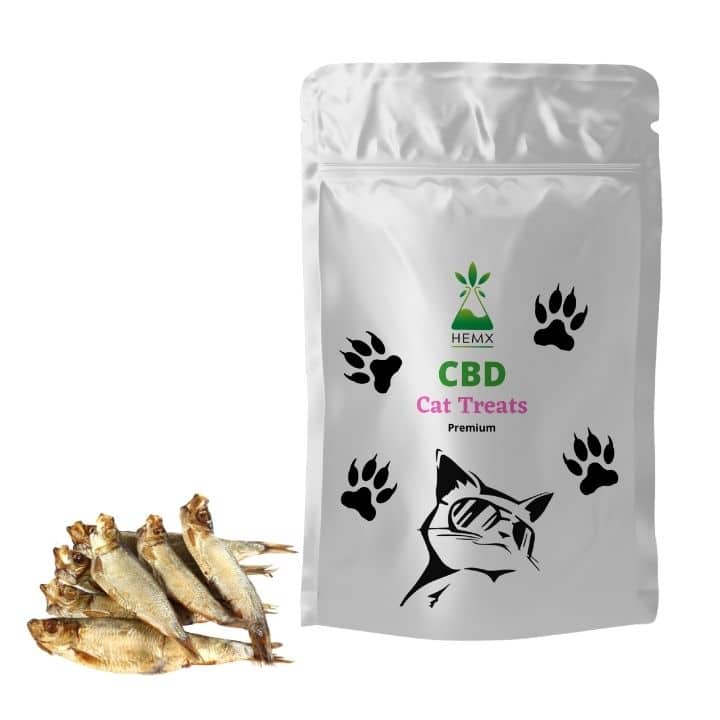 CBD cat treats UK